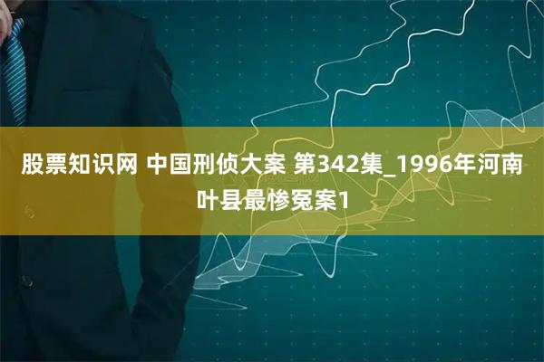 股票知识网 中国刑侦大案 第342集_1996年河南叶县最惨冤案1