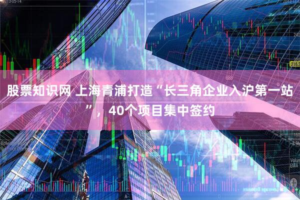 股票知识网 上海青浦打造“长三角企业入沪第一站”，40个项目集中签约