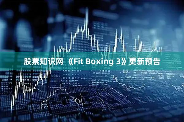 股票知识网 《Fit Boxing 3》更新预告