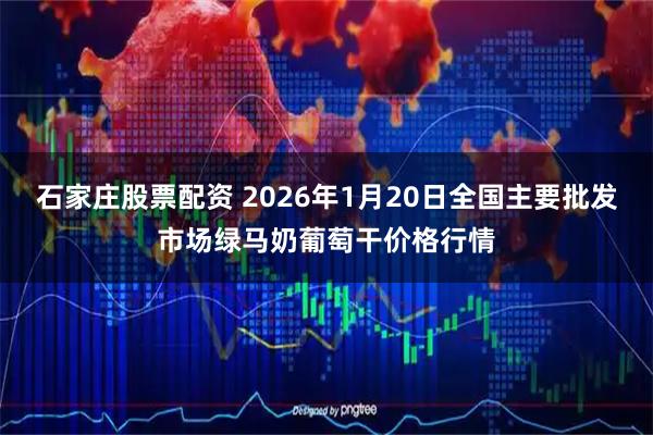 石家庄股票配资 2026年1月20日全国主要批发市场绿马奶葡萄干价格行情