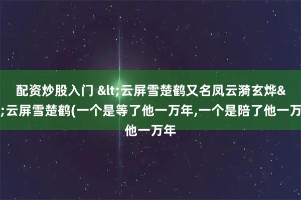 配资炒股入门 <云屏雪楚鹤又名凤云漪玄烨>云屏雪楚鹤(一个是等了他一万年,一个是陪了他一万年